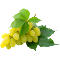 Green Grapes(Seedless) 500G