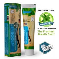 Bentodent Premium Mint Toothpaste 100G