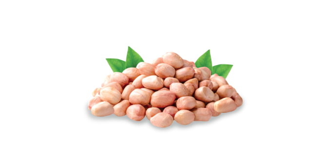 Groundnut Raw-Uzhavu 500gm