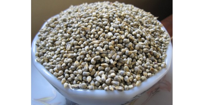 Pearl Millet (Nattu Kambu) 1kg