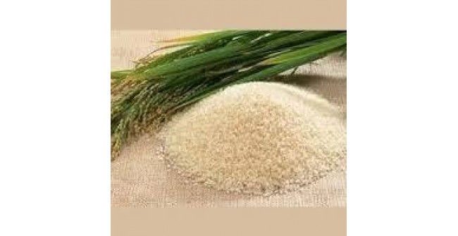 Seraga Samba Rice 1Kg